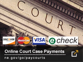 Make a Court Payment
